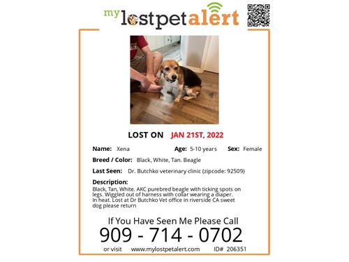 Lost Pet #138358